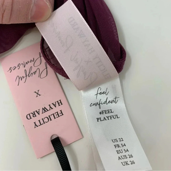 NWT Playful Promises Felicity Hayward Astrid Lace And Trim Brief Merlot Size 22 - Picture 4 of 5